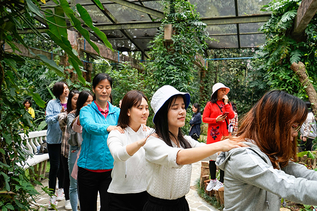 女神节康养运动