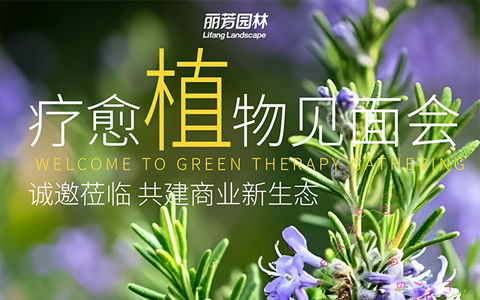 չԤ | ﲩԼ8ʹҵ̬